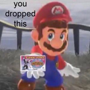 Meet your Posher, Ellie